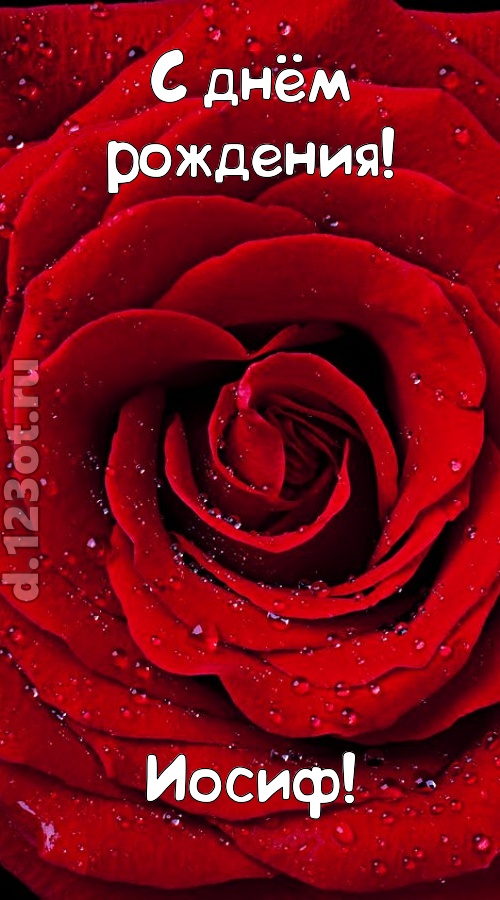 обольстительная открытка с днём рождения иосиф, скачать онлайн бесплатно на iphone для вацап, поздравление иосиф