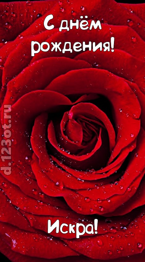 обольстительная открытка с днём рождения искра, скачать онлайн бесплатно на iphone для вацап, поздравление искра