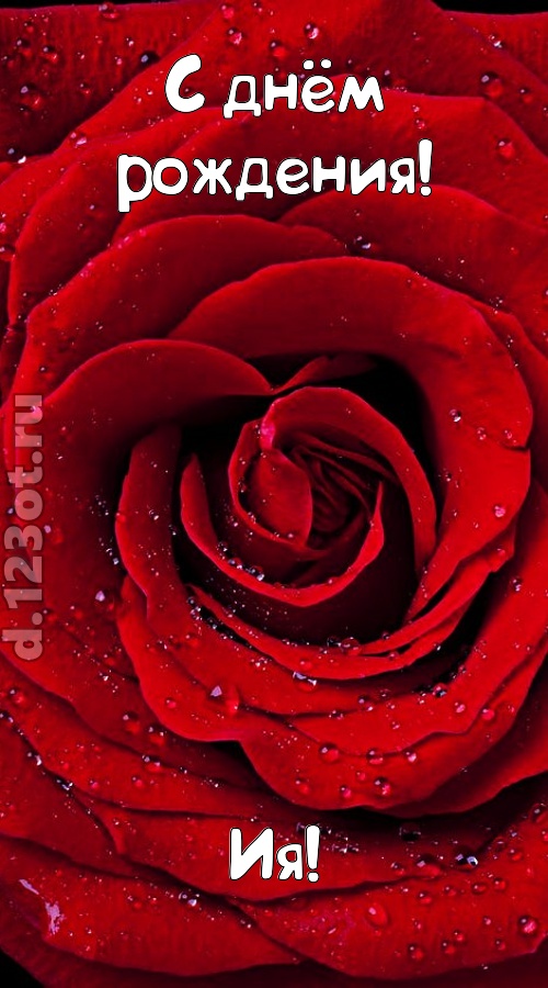обольстительная открытка с днём рождения ия, скачать онлайн бесплатно на iphone для вацап, поздравление ия