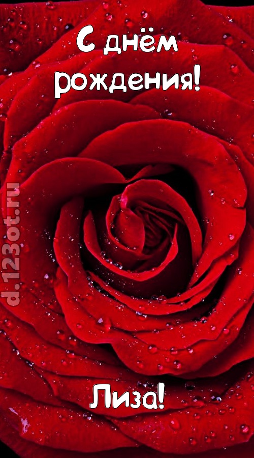 обольстительная открытка с днём рождения лиза, скачать онлайн бесплатно на iphone для вацап, поздравление лиза