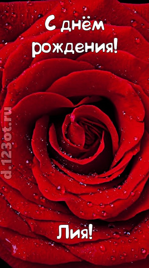 обольстительная открытка с днём рождения лия, скачать онлайн бесплатно на iphone для вацап, поздравление лия