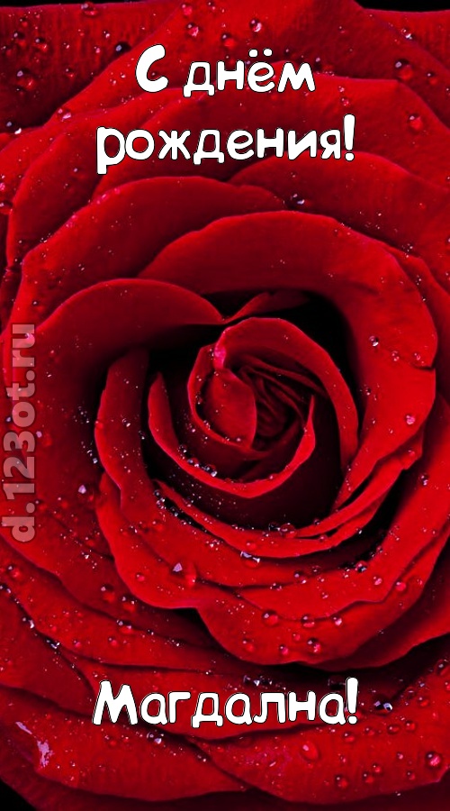 обольстительная открытка с днём рождения магдална, скачать онлайн бесплатно на iphone для вацап, поздравление магдална
