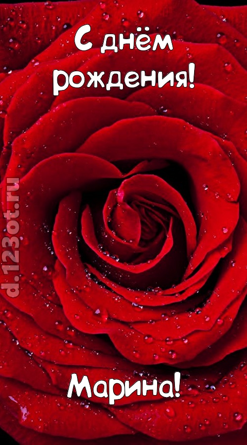 обольстительная открытка с днём рождения марина, скачать онлайн бесплатно на iphone для вацап, поздравление марина
