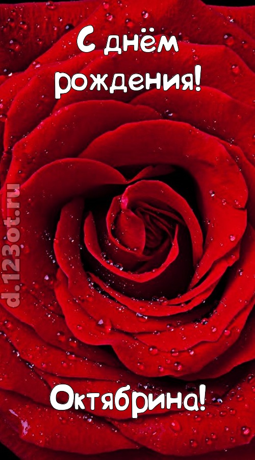обольстительная открытка с днём рождения октябрина, скачать онлайн бесплатно на iphone для вацап, поздравление октябрина