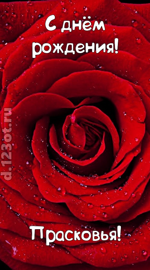 обольстительная открытка с днём рождения прасковья, скачать онлайн бесплатно на iphone для вацап, поздравление прасковья