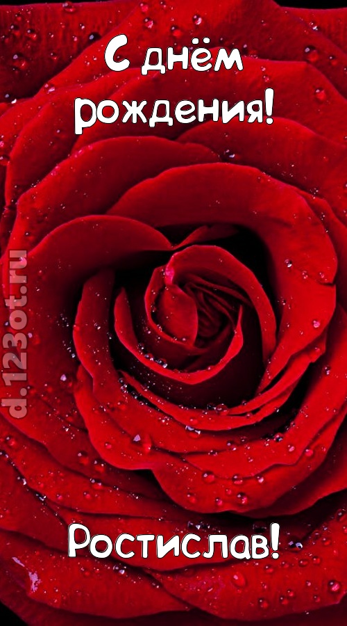 обольстительная открытка с днём рождения ростислав, скачать онлайн бесплатно на iphone для вацап, поздравление ростислав