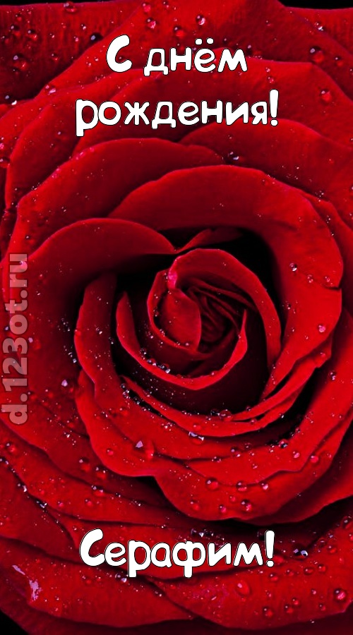 обольстительная открытка с днём рождения серафим, скачать онлайн бесплатно на iphone для вацап, поздравление серафим