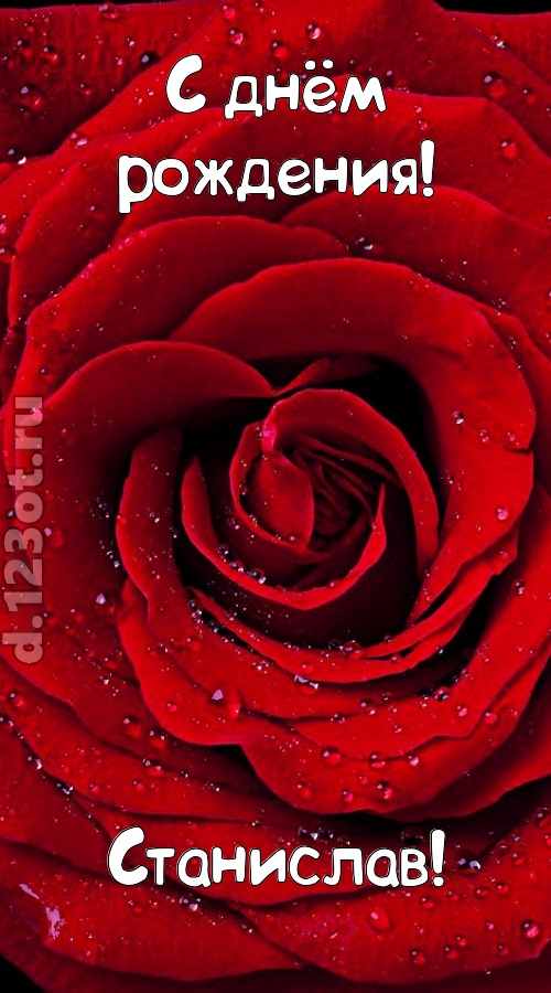 обольстительная открытка с днём рождения станислав, скачать онлайн бесплатно на iphone для вацап, поздравление станислав