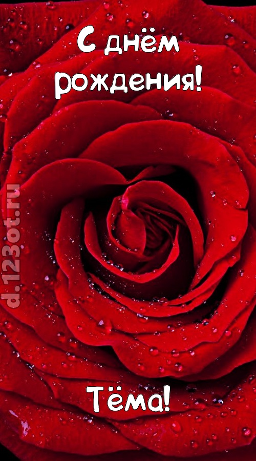 обольстительная открытка с днём рождения тёма, скачать онлайн бесплатно на iphone для вацап, поздравление тёма