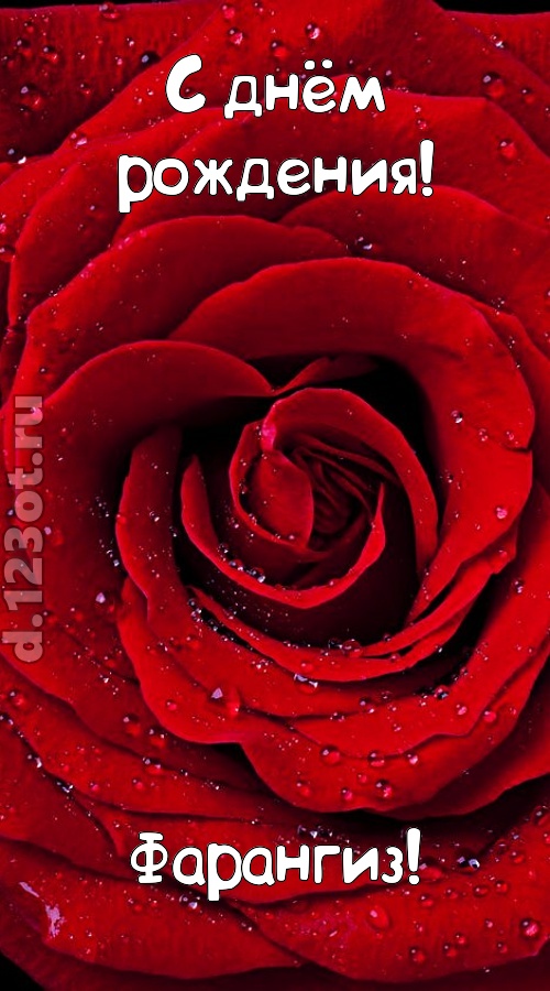 обольстительная открытка с днём рождения фарангиз, скачать онлайн бесплатно на iphone для вацап, поздравление фарангиз