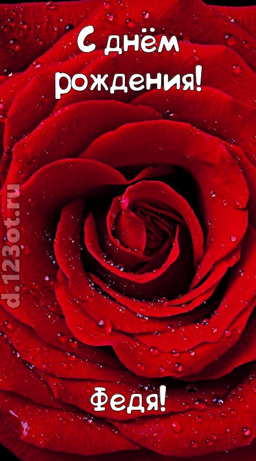 обольстительная открытка с днём рождения федя, скачать онлайн бесплатно на iphone для вацап, поздравление федя