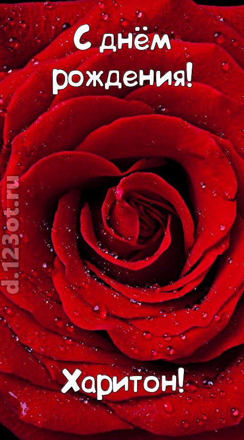обольстительная открытка с днём рождения харитон, скачать онлайн бесплатно на iphone для вацап, поздравление харитон