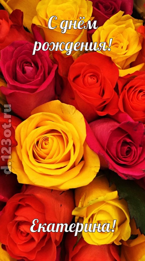оглушительная открытка с днём рождения екатерина, скачать онлайн бесплатно на iphone для вацап, поздравление екатерина