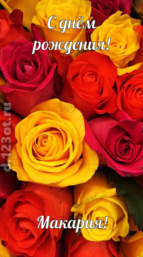 оглушительная открытка с днём рождения макария, скачать онлайн бесплатно на iphone для вацап, поздравление макария