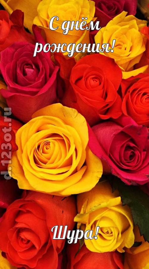 оглушительная открытка с днём рождения шура, скачать онлайн бесплатно на iphone для вацап, поздравление шура