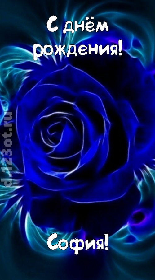 огненная открытка с днём рождения софия, скачать онлайн бесплатно на iphone для вацап, поздравление софия
