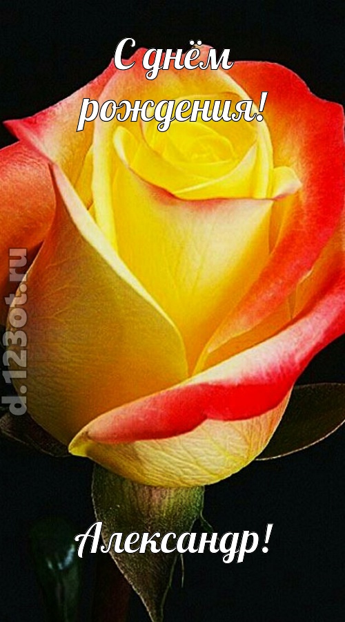 одурманивающая открытка с днём рождения александр, скачать онлайн бесплатно на iphone для вацап, поздравление александр