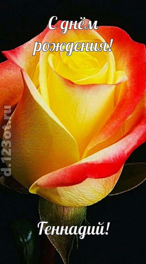 одурманивающая открытка с днём рождения геннадий, скачать онлайн бесплатно на iphone для вацап, поздравление геннадий