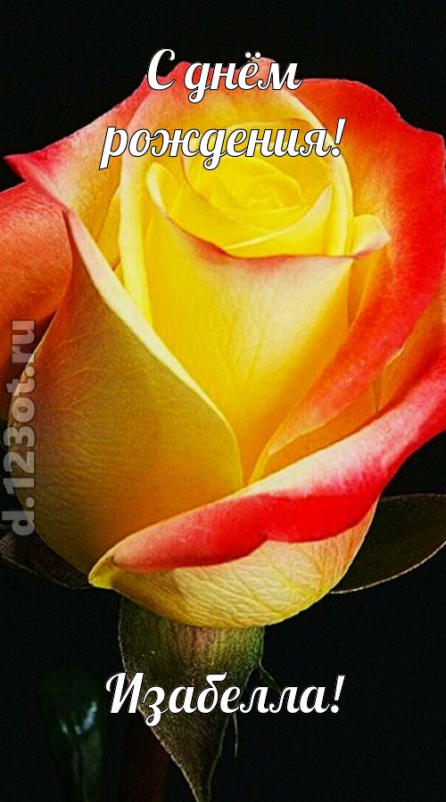 одурманивающая открытка с днём рождения изабелла, скачать онлайн бесплатно на iphone для вацап, поздравление изабелла