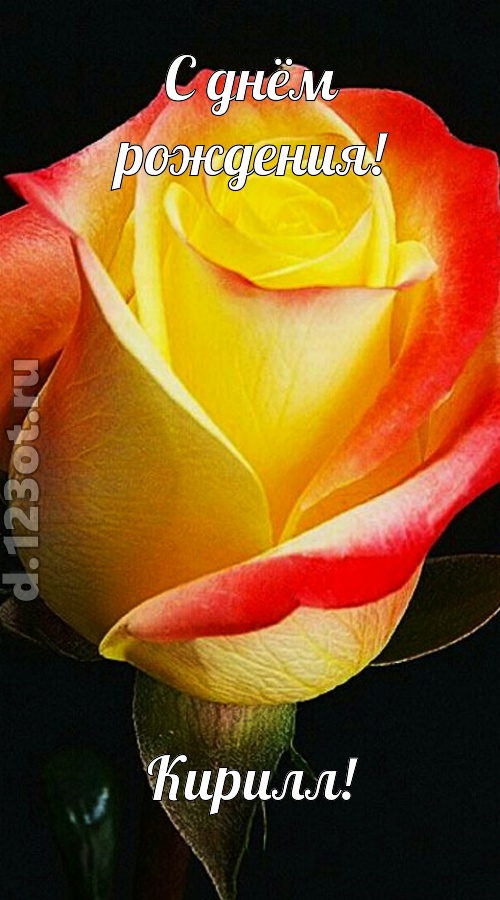 одурманивающая открытка с днём рождения кирилл, скачать онлайн бесплатно на iphone для вацап, поздравление кирилл