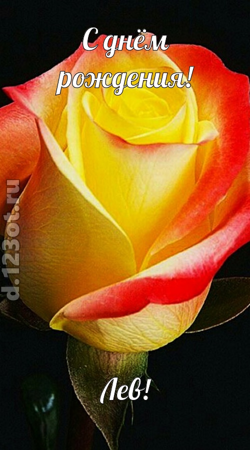 одурманивающая открытка с днём рождения лев, скачать онлайн бесплатно на iphone для вацап, поздравление лев