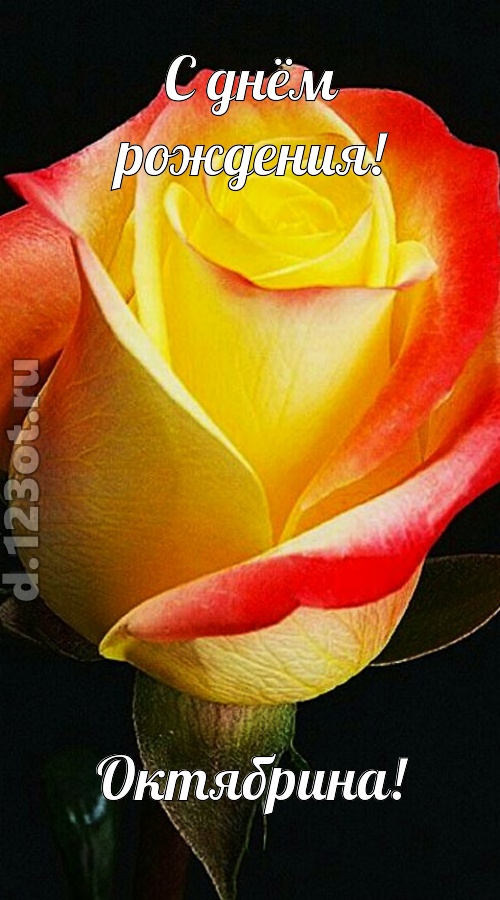 одурманивающая открытка с днём рождения октябрина, скачать онлайн бесплатно на iphone для вацап, поздравление октябрина