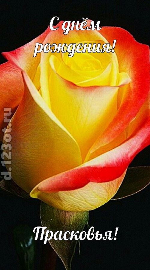 одурманивающая открытка с днём рождения прасковья, скачать онлайн бесплатно на iphone для вацап, поздравление прасковья
