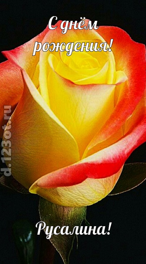 одурманивающая открытка с днём рождения русалина, скачать онлайн бесплатно на iphone для вацап, поздравление русалина