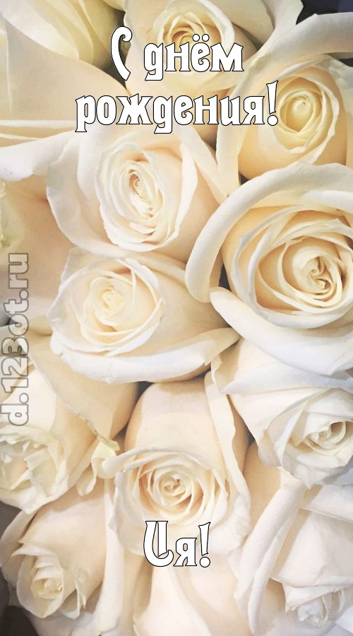 озорная открытка с днём рождения ия, скачать онлайн бесплатно на iphone для вацап, поздравление ия