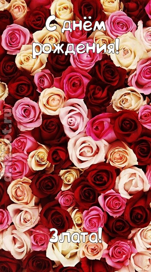 окрыляющая открытка с днём рождения злата, скачать онлайн бесплатно на iphone для вацап, поздравление злата