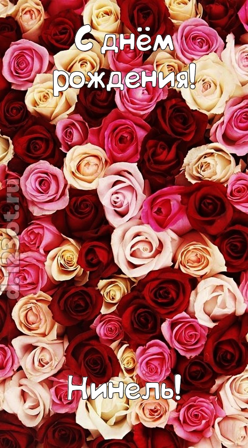 окрыляющая открытка с днём рождения нинель, скачать онлайн бесплатно на iphone для вацап, поздравление нинель