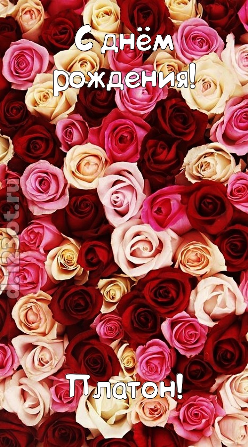 окрыляющая открытка с днём рождения платон, скачать онлайн бесплатно на iphone для вацап, поздравление платон
