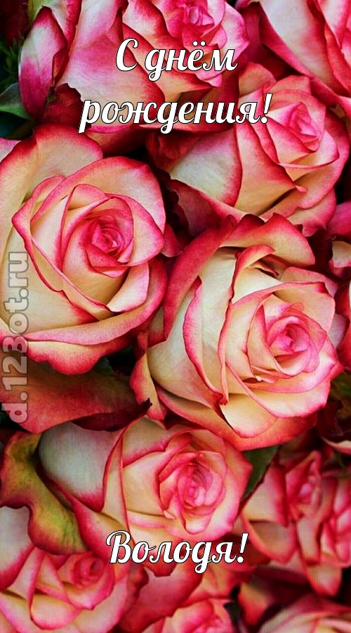 оптимистичная открытка с днём рождения володя, скачать онлайн бесплатно на iphone для вацап, поздравление володя
