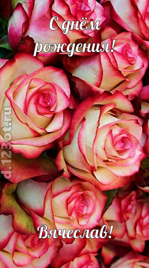 оптимистичная открытка с днём рождения вячеслав, скачать онлайн бесплатно на iphone для вацап, поздравление вячеслав