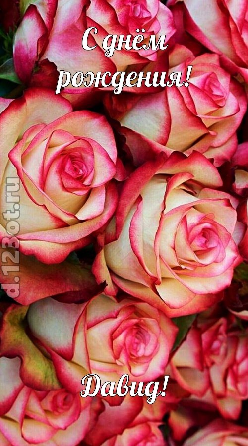 оптимистичная открытка с днём рождения давид, скачать онлайн бесплатно на iphone для вацап, поздравление давид