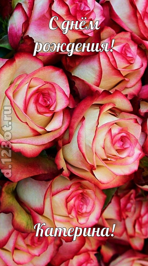 оптимистичная открытка с днём рождения катерина, скачать онлайн бесплатно на iphone для вацап, поздравление катерина