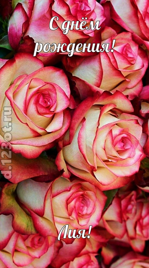 оптимистичная открытка с днём рождения лия, скачать онлайн бесплатно на iphone для вацап, поздравление лия
