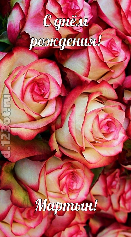 оптимистичная открытка с днём рождения мартын, скачать онлайн бесплатно на iphone для вацап, поздравление мартын