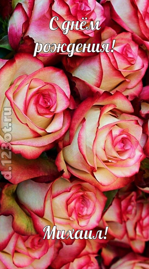 оптимистичная открытка с днём рождения михаил, скачать онлайн бесплатно на iphone для вацап, поздравление михаил