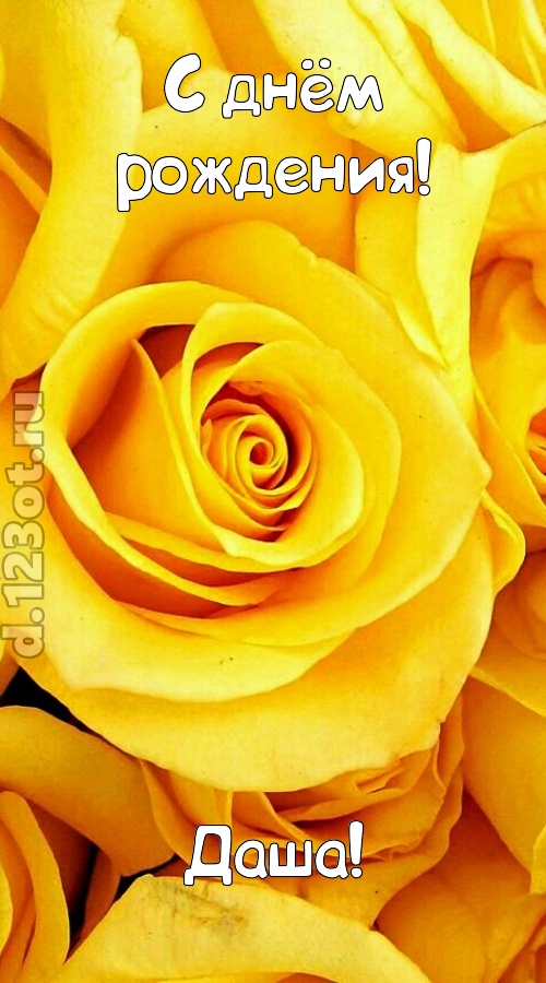 ослепительная открытка с днём рождения даша, скачать онлайн бесплатно на iphone для вацап, поздравление даша