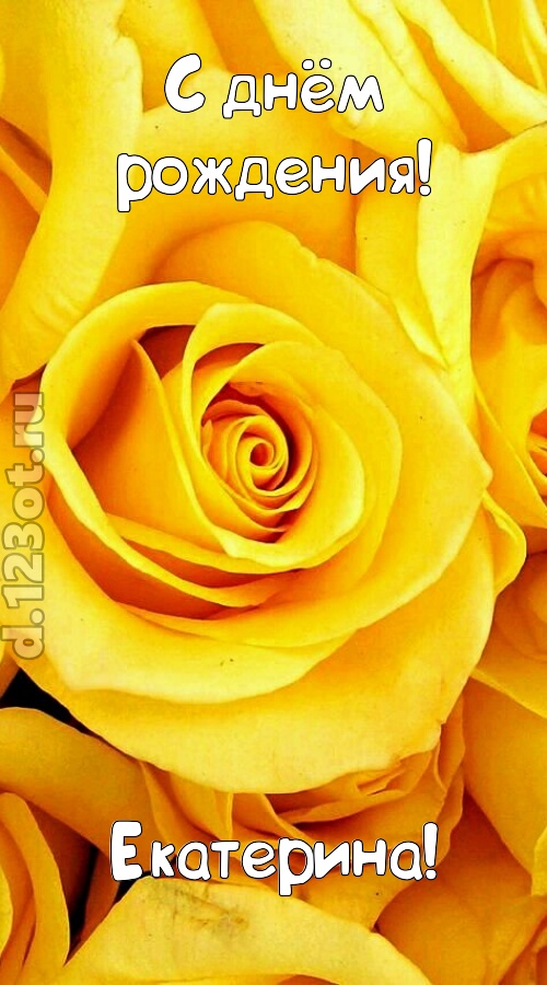 ослепительная открытка с днём рождения екатерина, скачать онлайн бесплатно на iphone для вацап, поздравление екатерина
