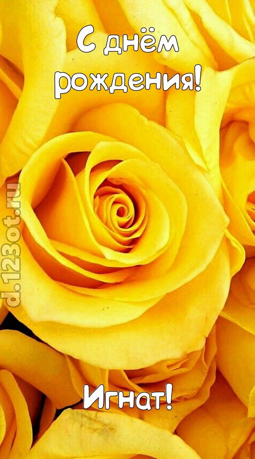 ослепительная открытка с днём рождения игнат, скачать онлайн бесплатно на iphone для вацап, поздравление игнат