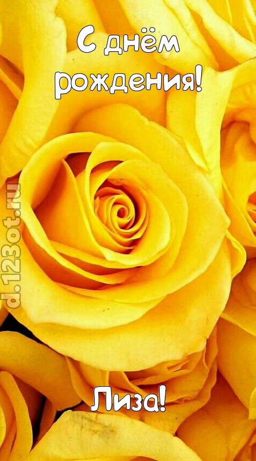ослепительная открытка с днём рождения лиза, скачать онлайн бесплатно на iphone для вацап, поздравление лиза