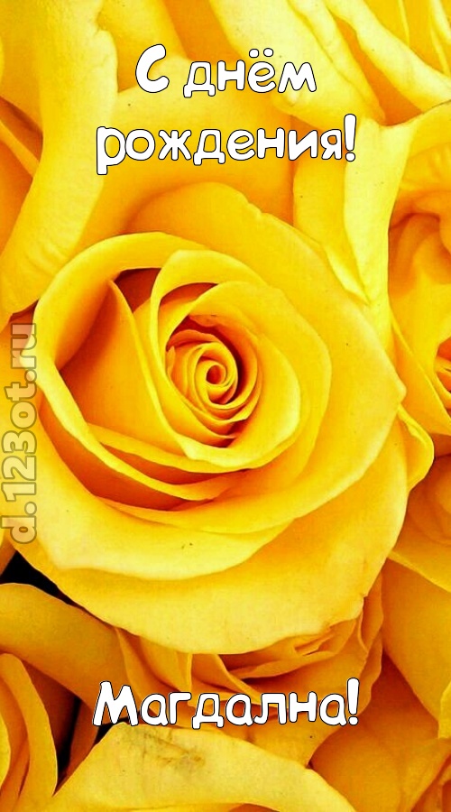ослепительная открытка с днём рождения магдална, скачать онлайн бесплатно на iphone для вацап, поздравление магдална
