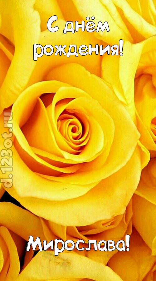 ослепительная открытка с днём рождения мирослава, скачать онлайн бесплатно на iphone для вацап, поздравление мирослава