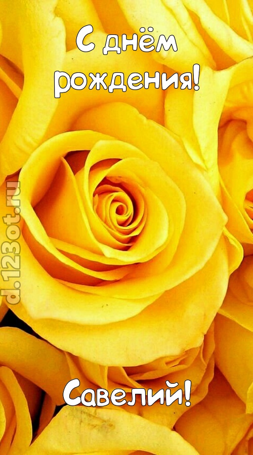 ослепительная открытка с днём рождения савелий, скачать онлайн бесплатно на iphone для вацап, поздравление савелий