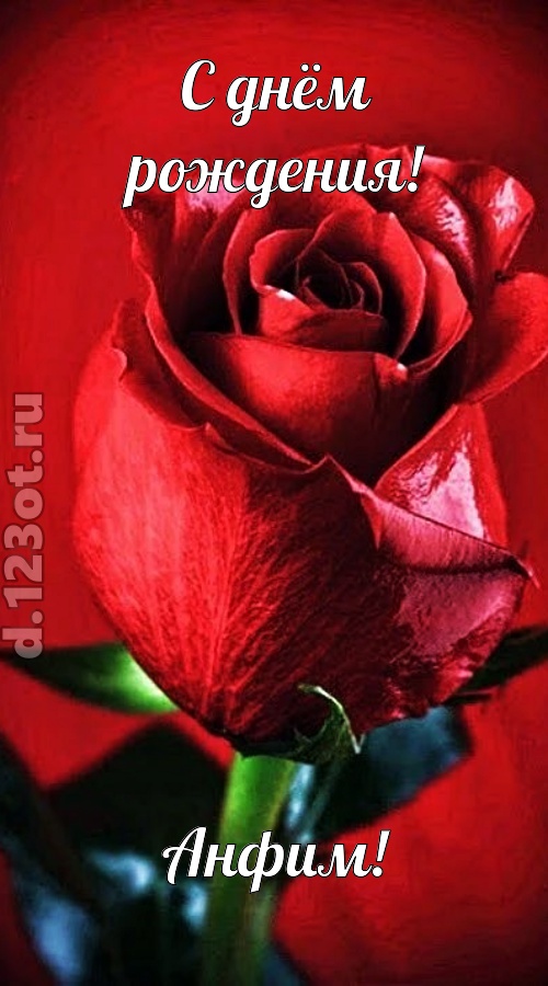 осторожная открытка с днём рождения анфим, скачать онлайн бесплатно на iphone для вацап, поздравление анфим