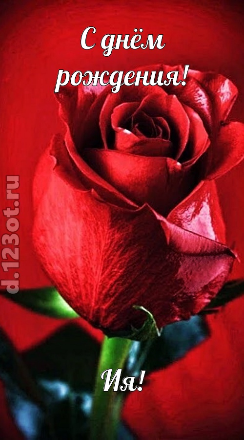 осторожная открытка с днём рождения ия, скачать онлайн бесплатно на iphone для вацап, поздравление ия