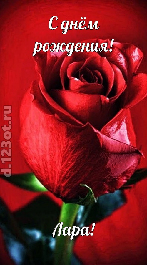 осторожная открытка с днём рождения лара, скачать онлайн бесплатно на iphone для вацап, поздравление лара
