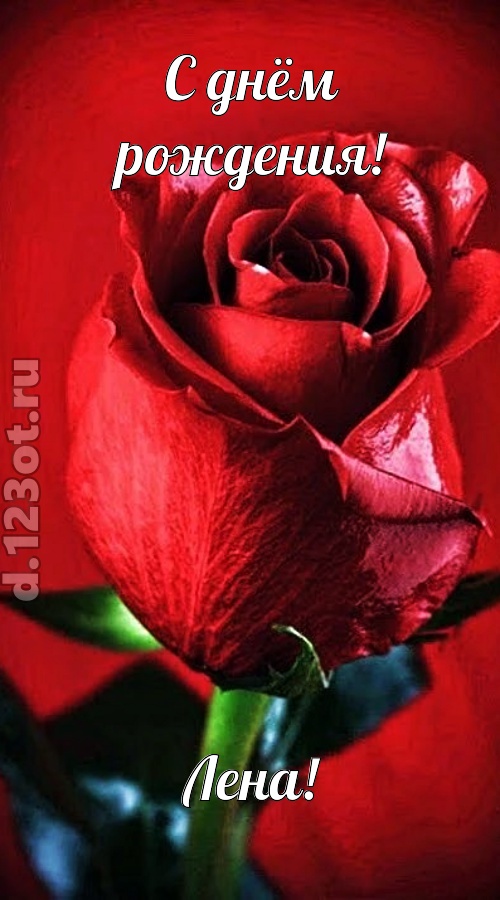 осторожная открытка с днём рождения лена, скачать онлайн бесплатно на iphone для вацап, поздравление лена